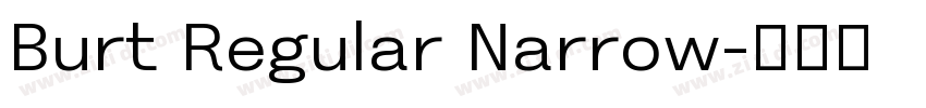 Burt Regular Narrow字体转换